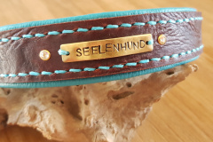 dogCollar