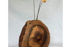 hanshaeferli-scaled